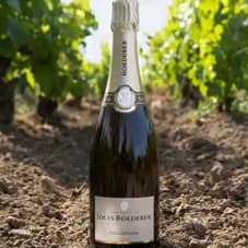 Dom Pérignon bottle